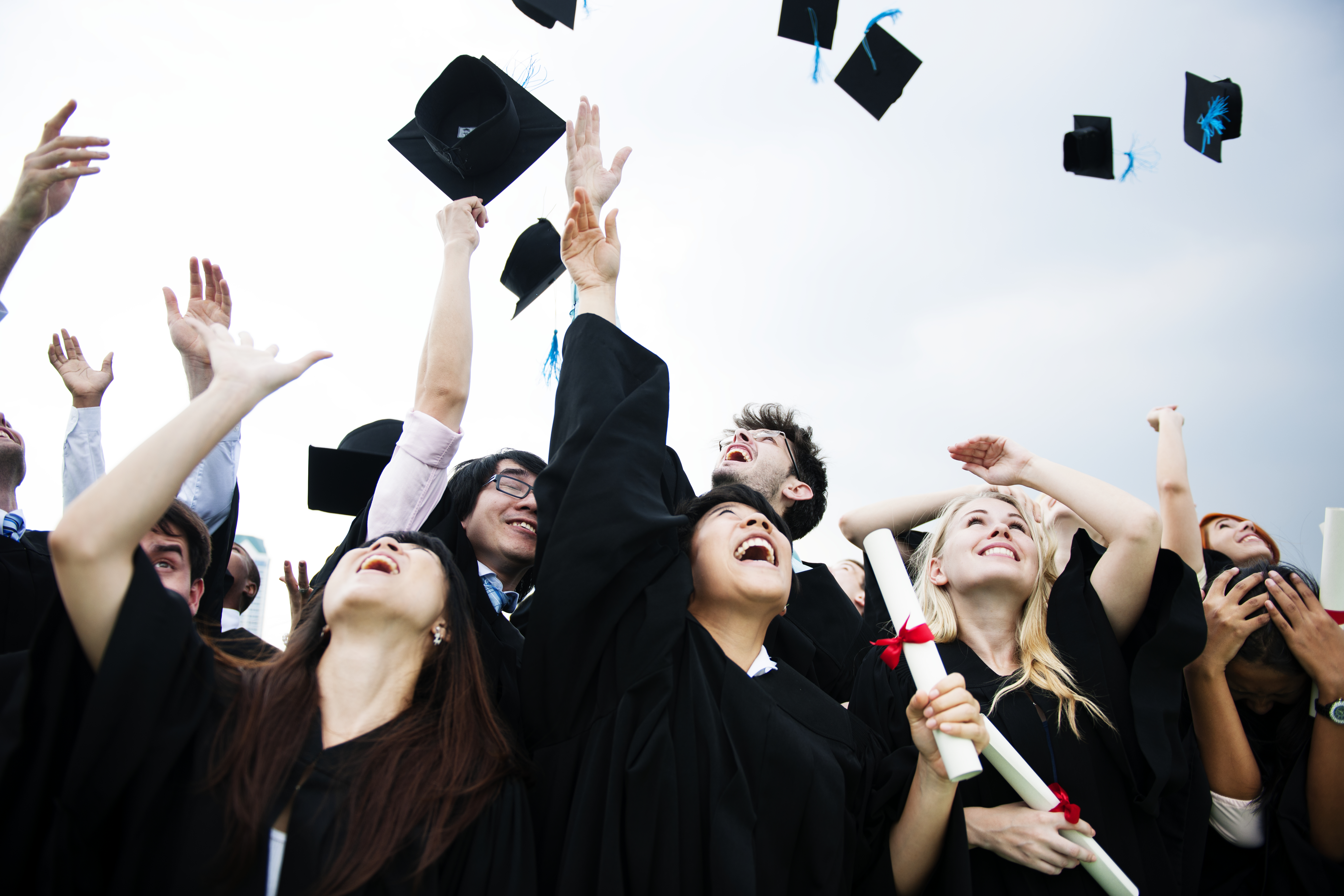 Matrix Trainee Program: Where Talent Meets Opportunity